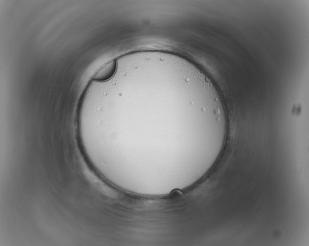 X0000112861471200909111457