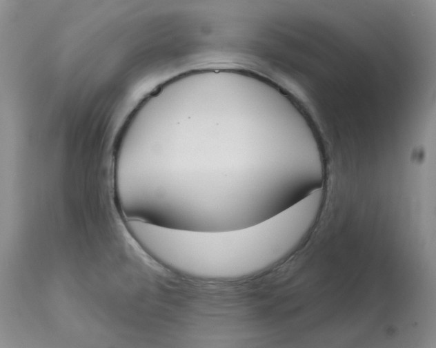 X0000112861472200909111457