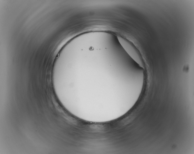 X0000112861473200909111457