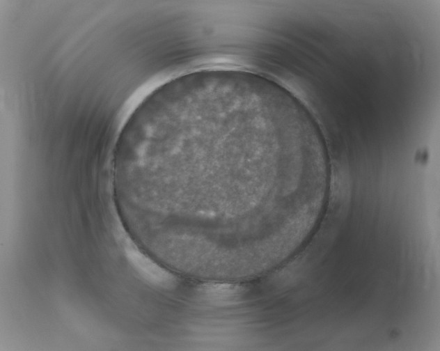 X0000112861474200909111457