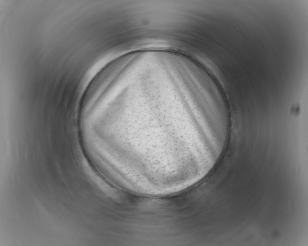 X0000112861475200909111457