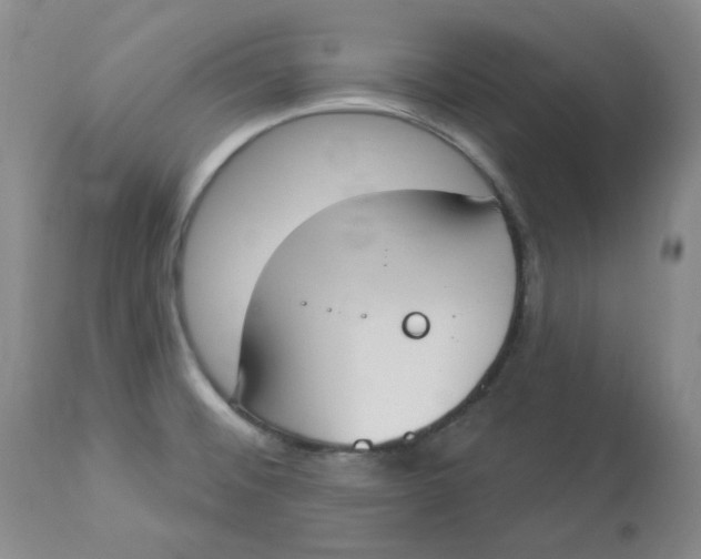 X0000112861476200909111457