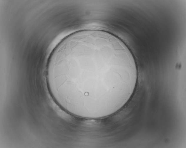 X0000112861478200909111457