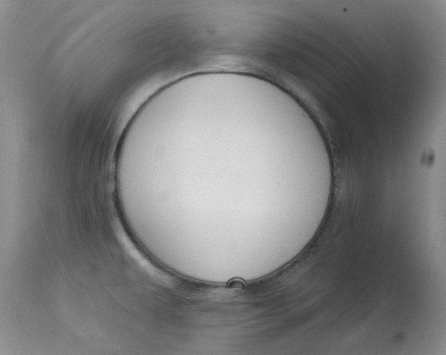 X0000112861479200909111457