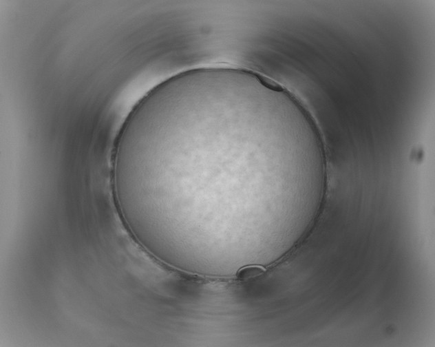 X0000112861480200909111457