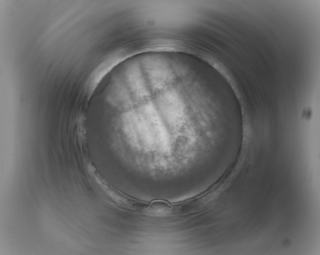 X0000112861481200909111457