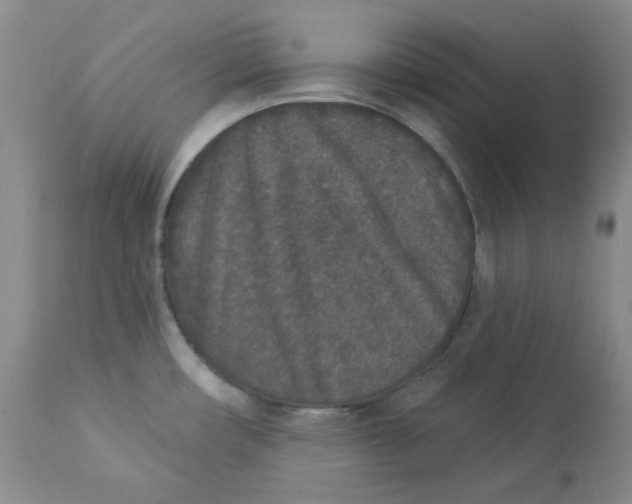 X0000112861482200909111457