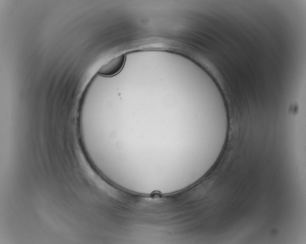 X0000112861483200909111457