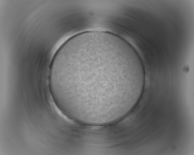 X0000112861484200909111457