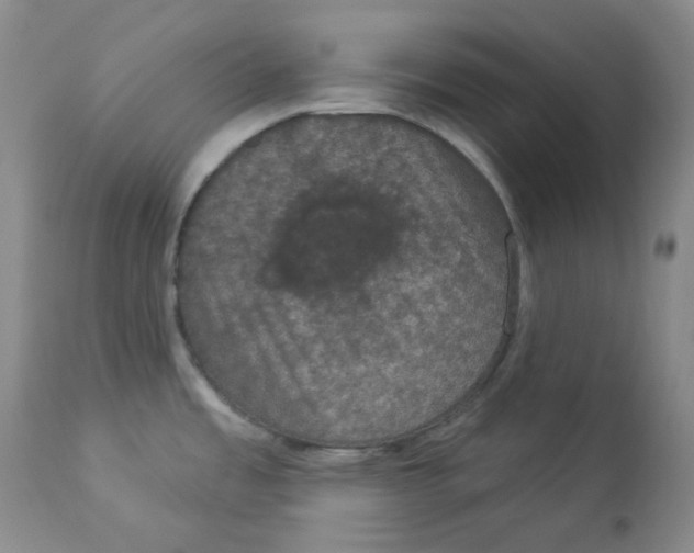 X0000112861485200909111457