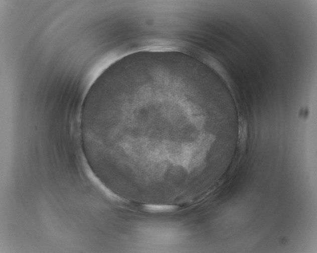 X0000112861487200909111457