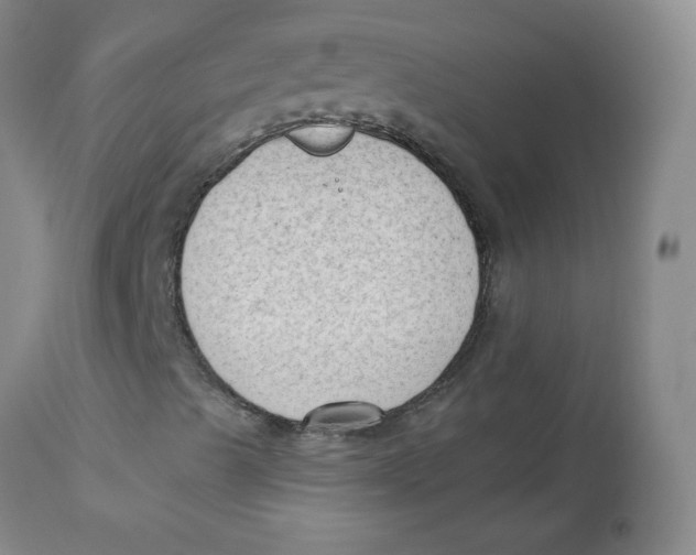 X0000112861489200909111456