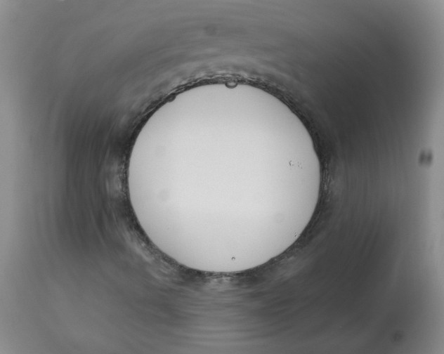 X0000112861490200909111456