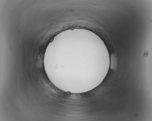 X0000112861491200909111456