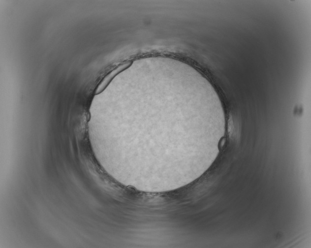 X0000112861492200909111456