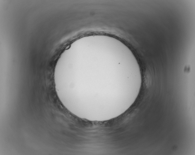 X0000112861494200909111456