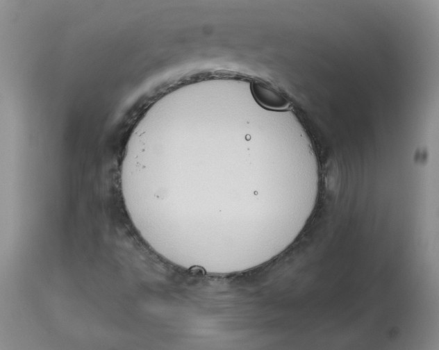 X0000112861495200909111456