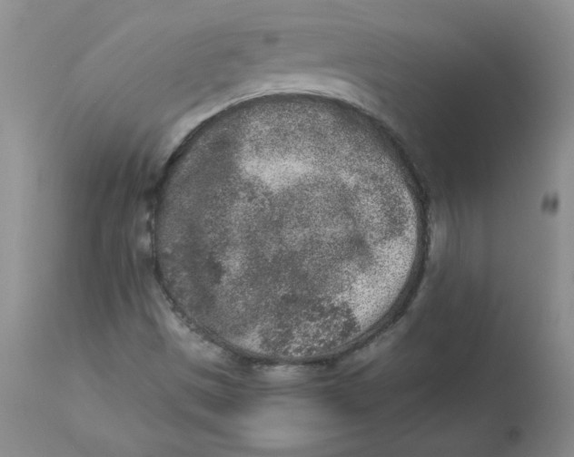 X0000112861497200909111456