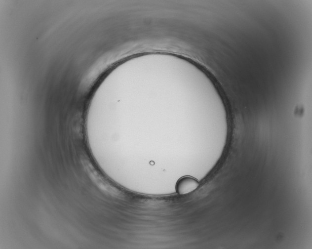 X0000112861499200909111456