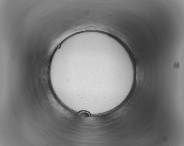 X0000112861500200909111456