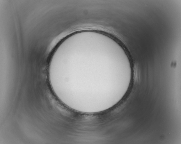 X0000112861501200909111456