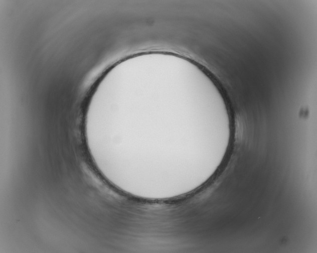 X0000112861502200909111456