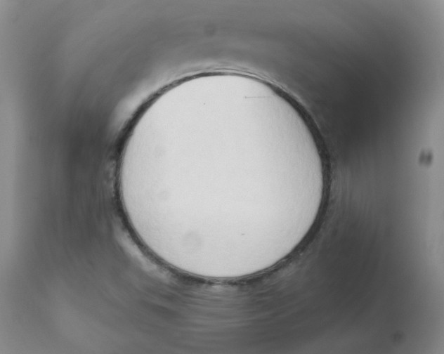 X0000112861503200909111456