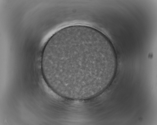 X0000112861504200909111456