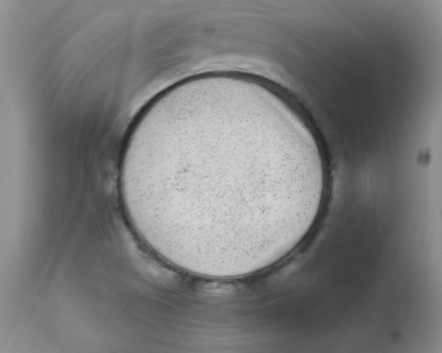 X0000112861505200909111456