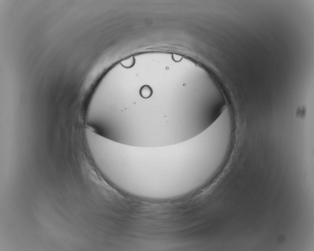 X0000112861506200909111456