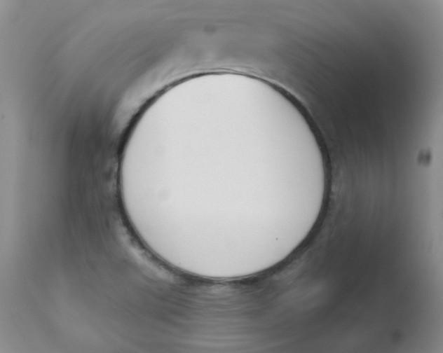 X0000112861507200909111456