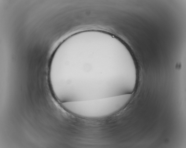 X0000112861508200909111456