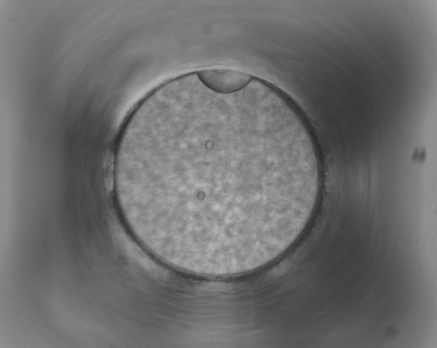 X0000112861510200909111456