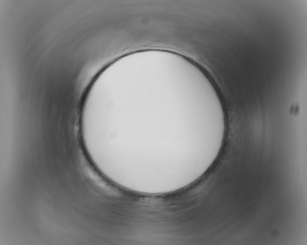 X0000112861511200909111456