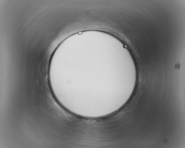 X0000112861512200909111456