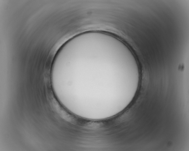 X0000112861513200909111456