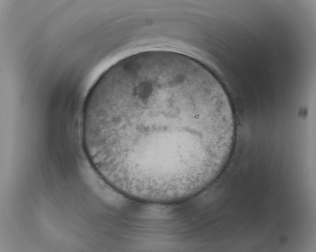 X0000112861514200909111456