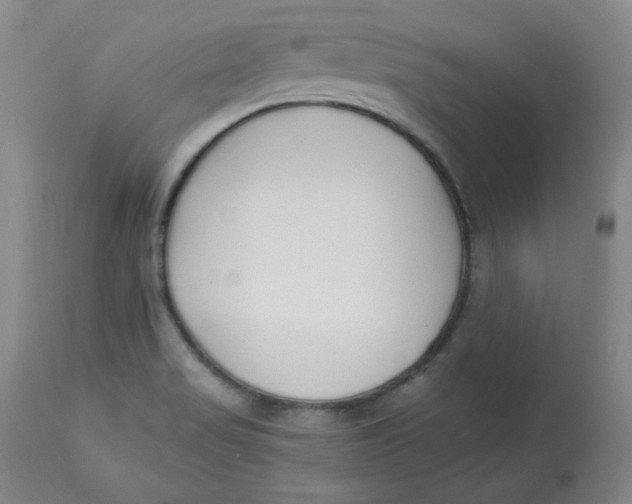 X0000112861517200909111456