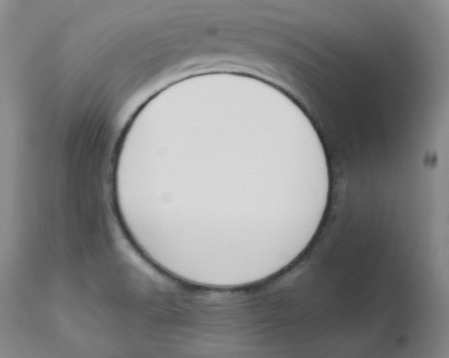 X0000112861518200909111456