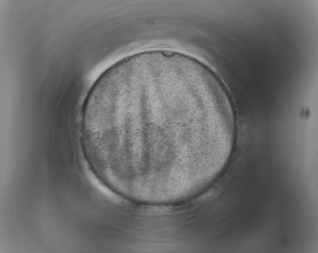 X0000112861519200909111456