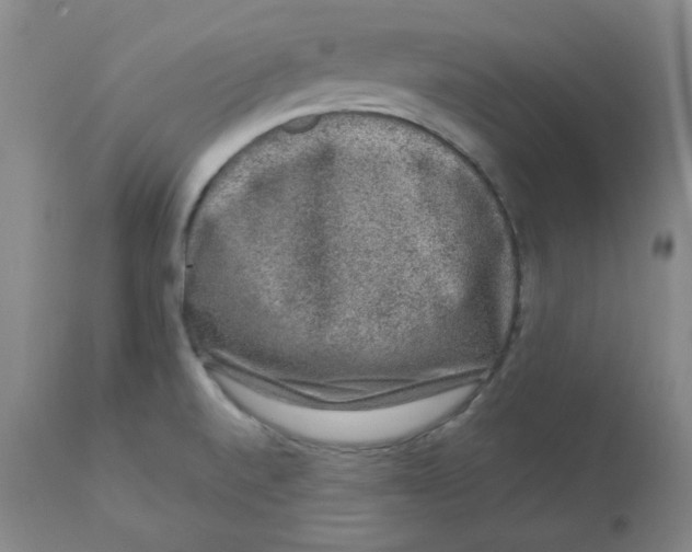 X0000112861520200909111456