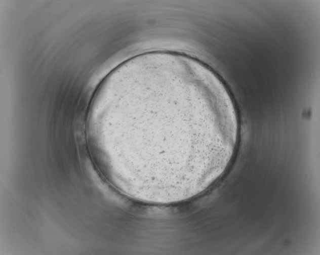 X0000112861521200909111456