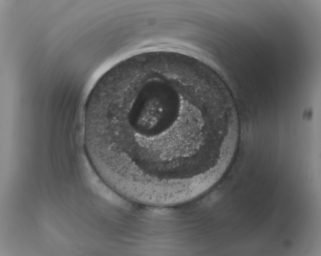 X0000112861522200909111456