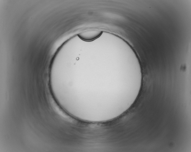 X0000112861523200909111456