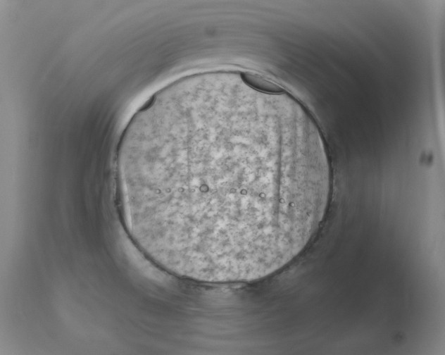 X0000112861524200909111456