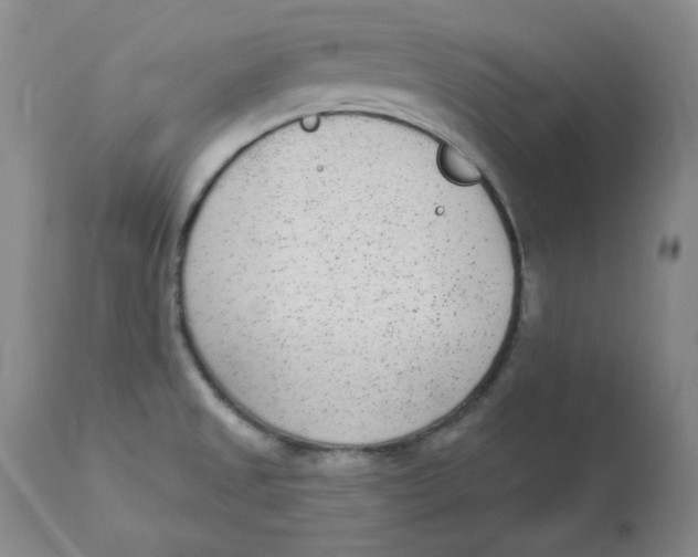 X0000112861525200909111456