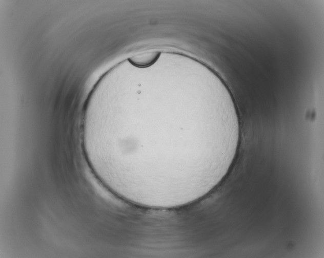 X0000112861526200909111456