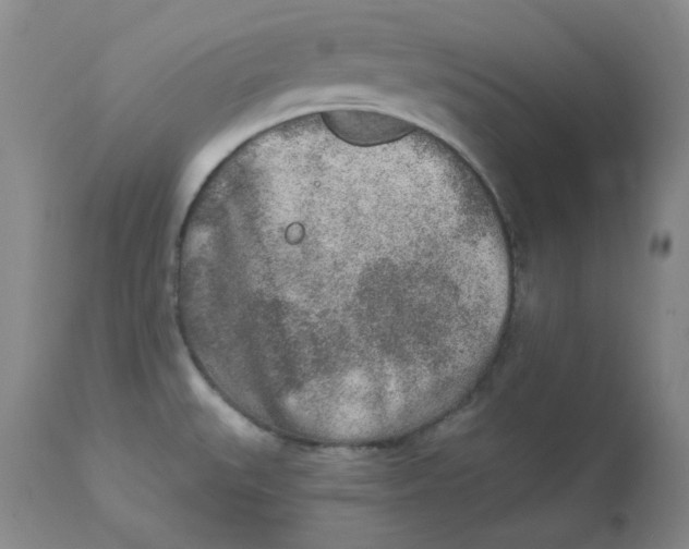 X0000112861527200909111457