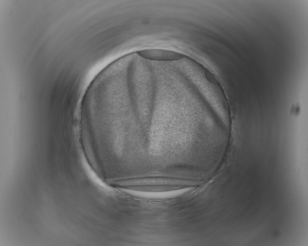 X0000112861528200909111457