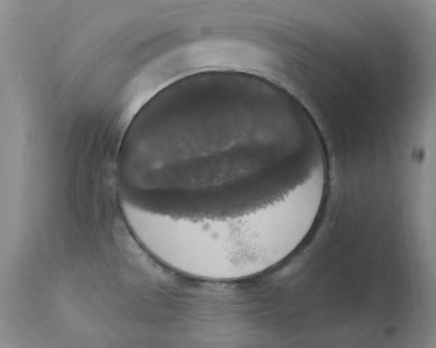 X0000112861529200909111457